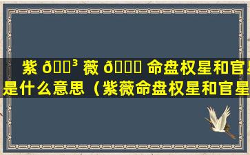 紫 🐳 薇 🐝 命盘权星和官星是什么意思（紫薇命盘权星和官星是什么意思啊）